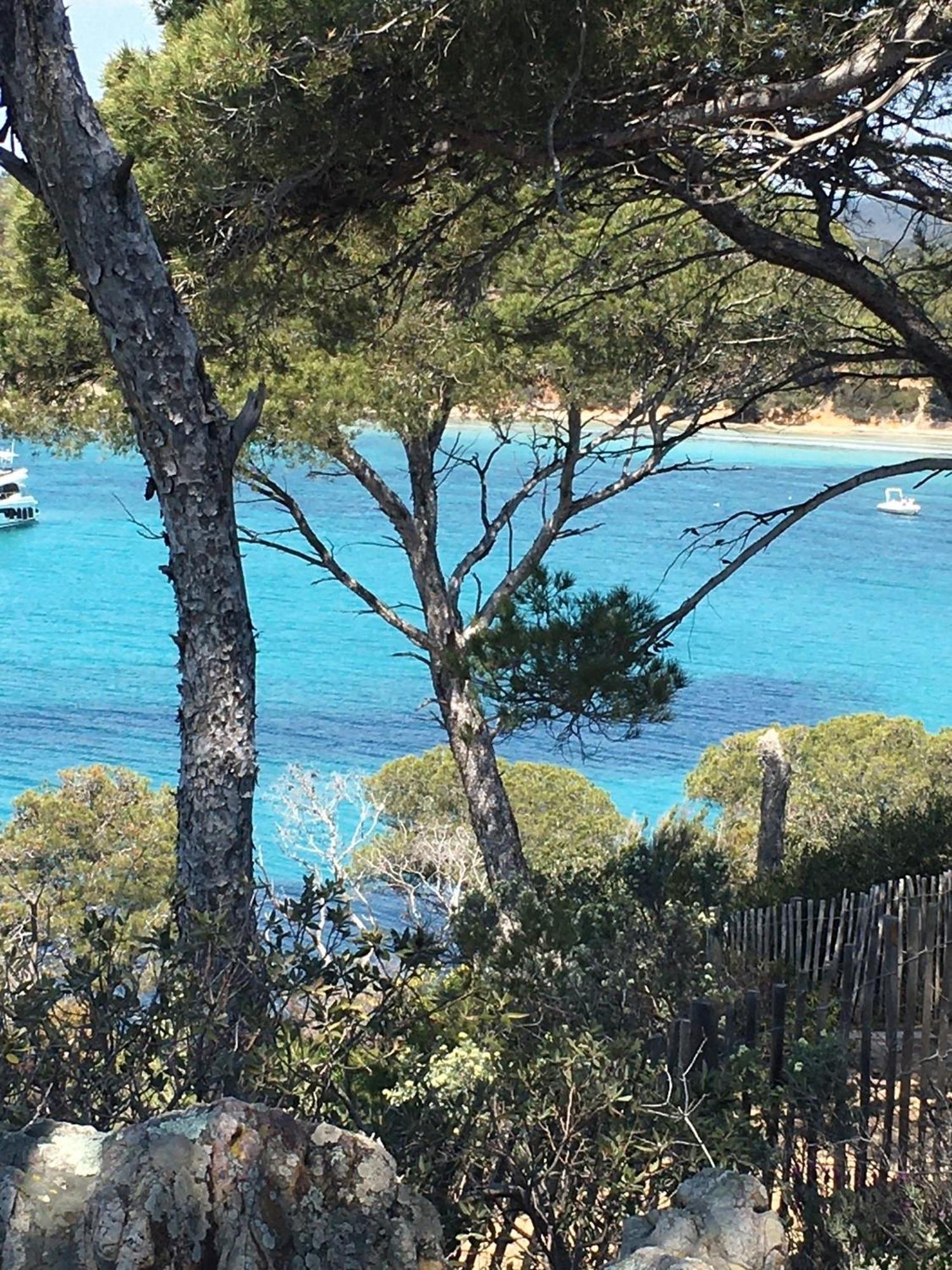 T3 Front De Mer Dernier Etage Vue Mer Petit Havre De Paix Pour Vos Vacances Emplacement Unique Vue Mer Panoramique A 180 Degres Pour Ce T3 En Face De La Plage Front De Mer Vue Sur Les Iles 5 Et Dernier Etage Avec Ascenseur Le Lavandou Luaran gambar